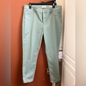 Curve Appeal Minimalist Jeggings 16/33